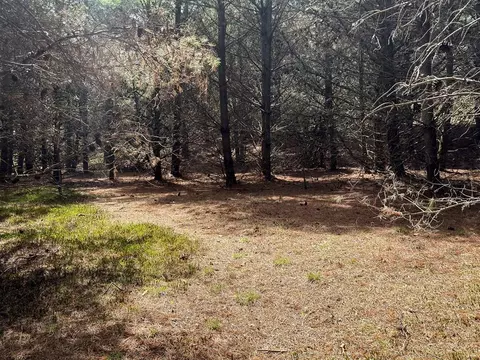 tbd Pine Branch Rd, Laurel Fork, VA 24352