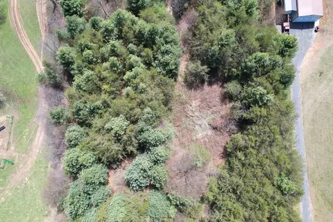 tbd Pine Branch Rd, Laurel Fork, VA 24352 photo 20