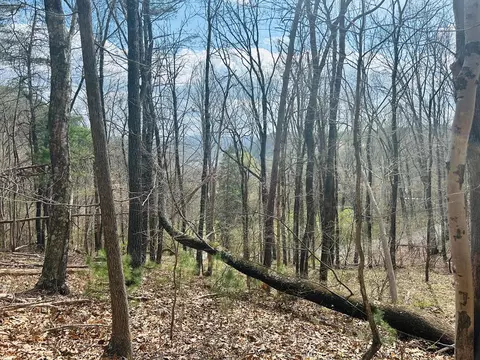 tbd Lot 118 Julia Simpkins Rd, Hiwassee, VA 24347