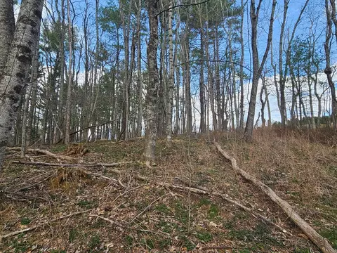 tbd Panorama Dr, Todd, NC 28684 photo 15