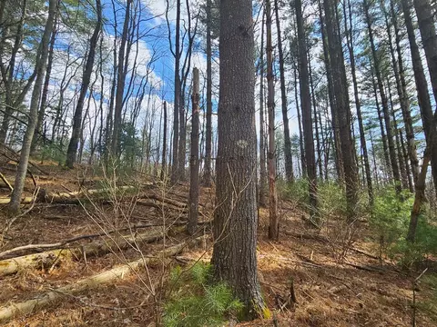 tbd Panorama Dr, Todd, NC 28684 photo 22