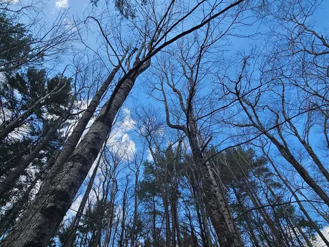 tbd Panorama Dr, Todd, NC 28684 photo 17