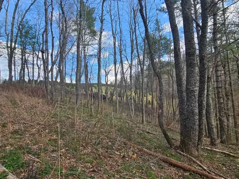 tbd Panorama Dr, Todd, NC 28684 photo 14