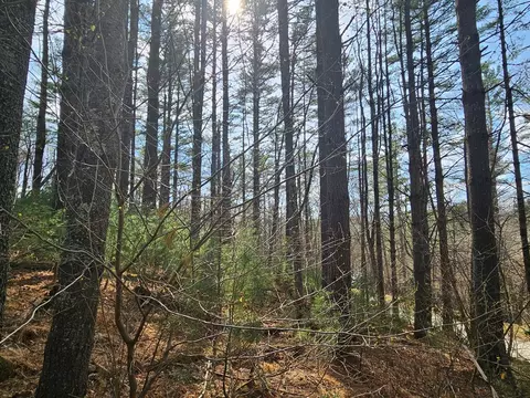 tbd Panorama Dr, Todd, NC 28684 photo 20