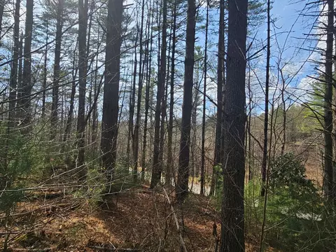 tbd Panorama Dr, Todd, NC 28684 photo 18