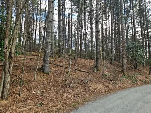 tbd Panorama Dr, Todd, NC 28684 photo 2
