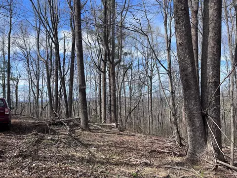 tbd Calvary Way, Laurel Fork, VA 24352