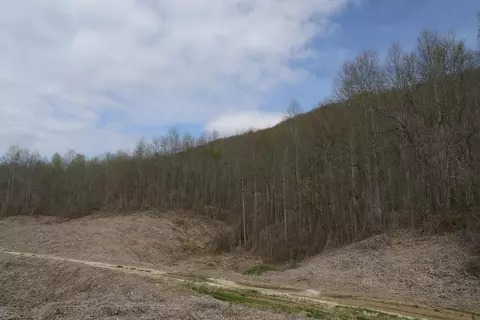 tbd Valley Spring Rd, Rose Hill, VA 24281