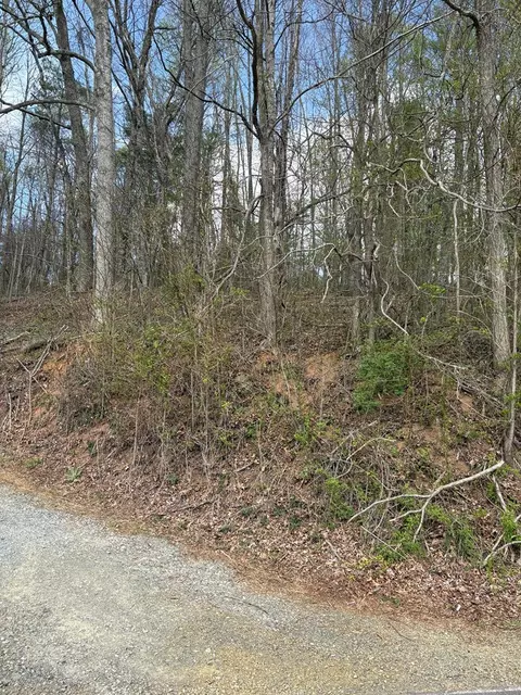 tbd Tower Rd, Galax, VA 24333 photo 2