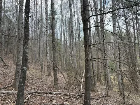 tbd Tower Rd, Galax, VA 24333 photo 3