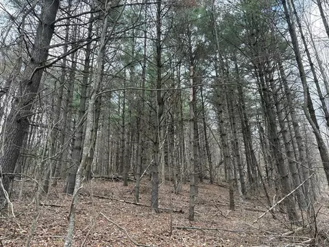 tbd Tower Rd, Galax, VA 24333 photo 4