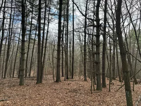 tbd Tower Rd, Galax, VA 24333 photo 10
