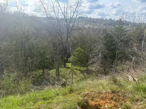 tbd Point Dr, Pounding Mill, VA 24637 photo 1