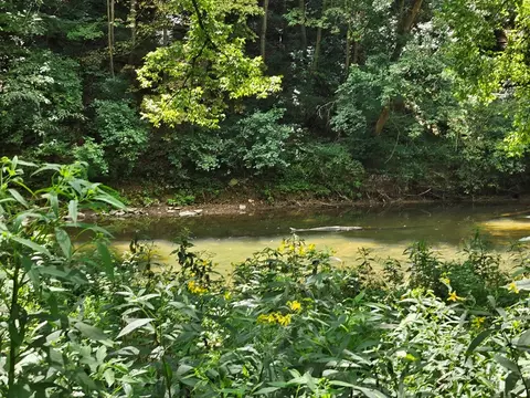 tbd E Lee Hwy, Max Meadows, VA 24360 photo 5