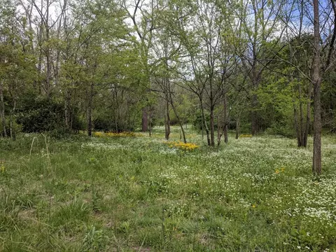 tbd E Lee Hwy, Max Meadows, VA 24360 photo 7