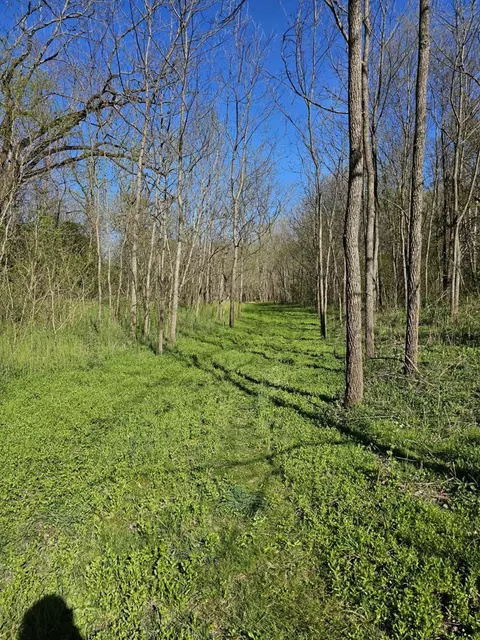 tbd E Lee Hwy, Max Meadows, VA 24360 photo 12