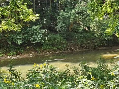 tbd E Lee Hwy, Max Meadows, VA 24360
