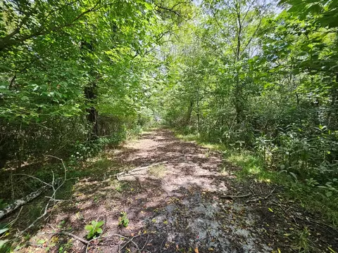 tbd E Lee Hwy, Max Meadows, VA 24360 photo 14