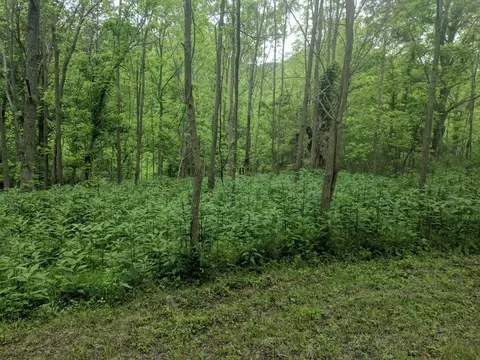 tbd E Lee Hwy, Max Meadows, VA 24360 photo 4