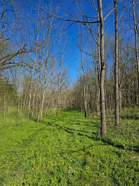 tbd E Lee Hwy, Max Meadows, VA 24360 photo 9