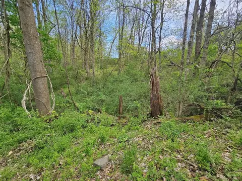 tbd Miller Ave, Marion, VA 24354