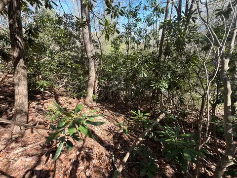 tbd Cascade Trl, Fancy Gap, VA 24328 photo 6
