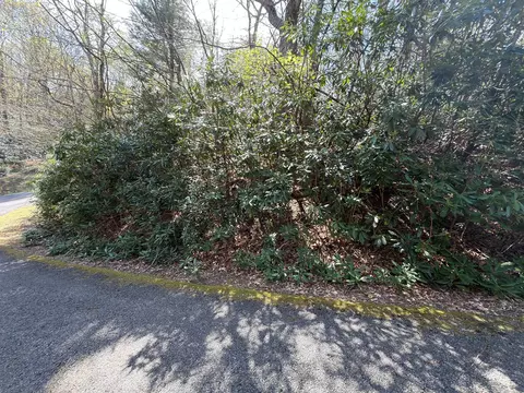 tbd Cascade Trl, Fancy Gap, VA 24328 photo 8