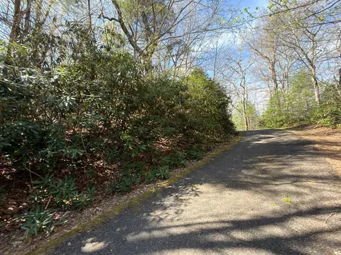 tbd Cascade Trl, Fancy Gap, VA 24328 photo 4
