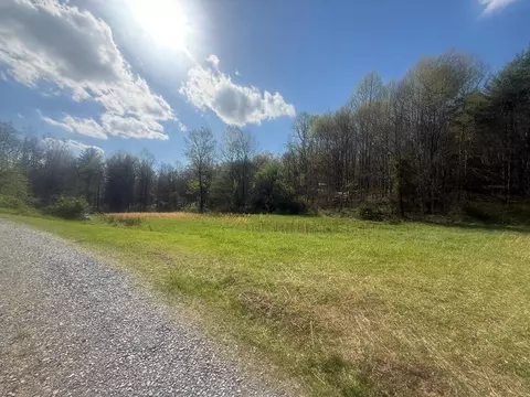 Tdb Beadwood Lane, Damascus, VA 24236