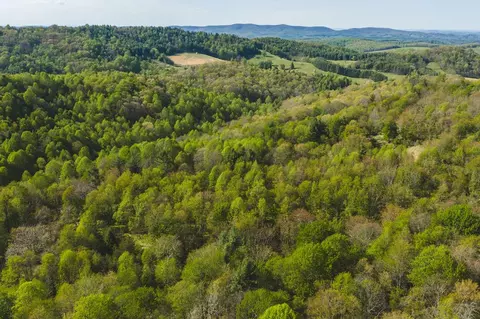 tbd Black Ridge Rd, Floyd, VA 24091