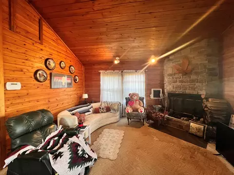 Living - 2616 Pope, Ivanhoe, VA 24350 photo 1 of 2