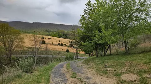 Other - 2241 Skydusky Rd, Bland, VA 24315 photo 13 of 13