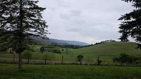 Exterior - 2241 Skydusky Rd, Bland, VA 24315 photo 7 of 9