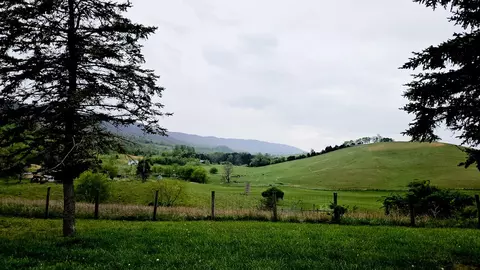 Exterior - 2241 Skydusky Rd, Bland, VA 24315 photo 6 of 9