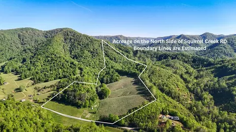 1618 Squirrel Creek Rd, Ararat, VA 24053