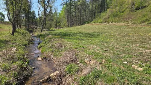 tbd Tilley Ln, Fancy Gap, VA 24328