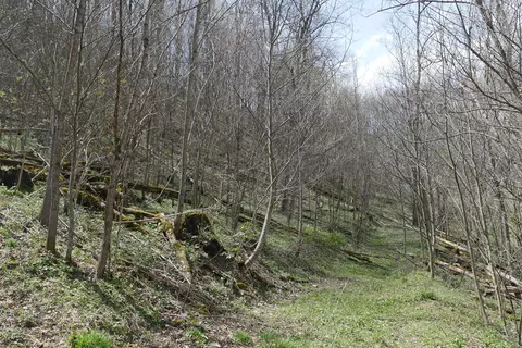 tbd Unity Rd, Bluefield, VA 24605 photo 58