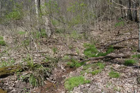 tbd Unity Rd, Bluefield, VA 24605 photo 56