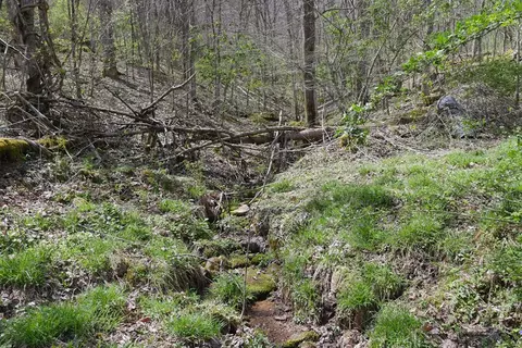 tbd Unity Rd, Bluefield, VA 24605 photo 81