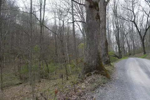 tbd Unity Rd, Bluefield, VA 24605 photo 18