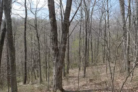 tbd Unity Rd, Bluefield, VA 24605 photo 64