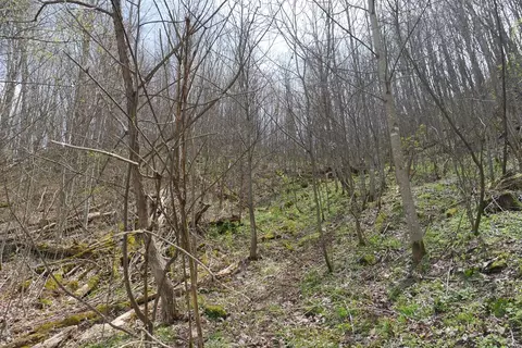 tbd Unity Rd, Bluefield, VA 24605 photo 66