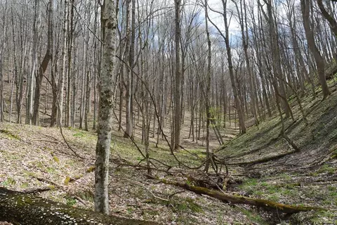 tbd Unity Rd, Bluefield, VA 24605 photo 39