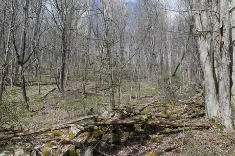 tbd Unity Rd, Bluefield, VA 24605 photo 29