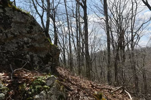 tbd Unity Rd, Bluefield, VA 24605 photo 49