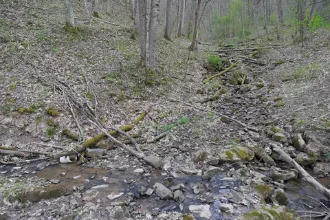 tbd Unity Rd, Bluefield, VA 24605 photo 16