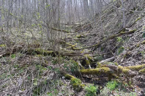 tbd Unity Rd, Bluefield, VA 24605 photo 87