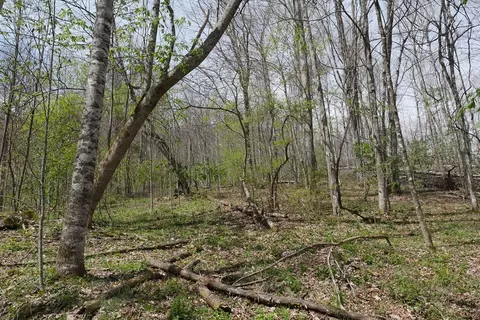 tbd Unity Rd, Bluefield, VA 24605 photo 82