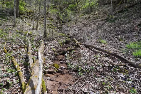 tbd Unity Rd, Bluefield, VA 24605 photo 84
