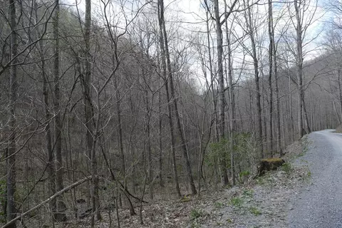 tbd Unity Rd, Bluefield, VA 24605 photo 20